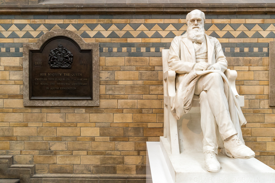 Sir Charles Darwin statue - London