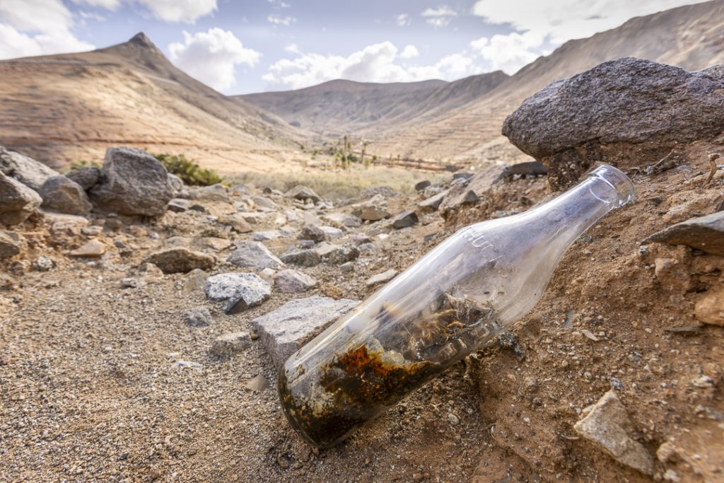 Discarded bottle in Canarian shrew (Crocidura canariensis) habitat